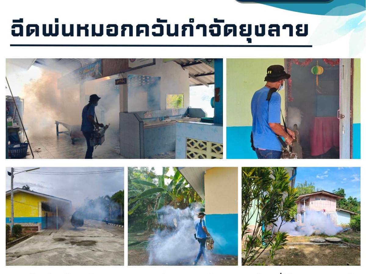 ฉีดพ่นหมอกควันกำจัดยุงลาย